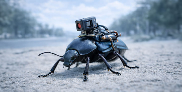 Жуки-шпионы система видеонаблюдения, размещенная на насекомых