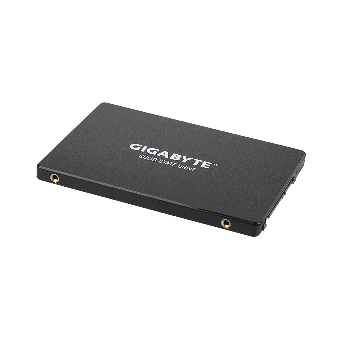 Твердотельный накопитель внутренний Gigabyte GSTFS31240GNTD